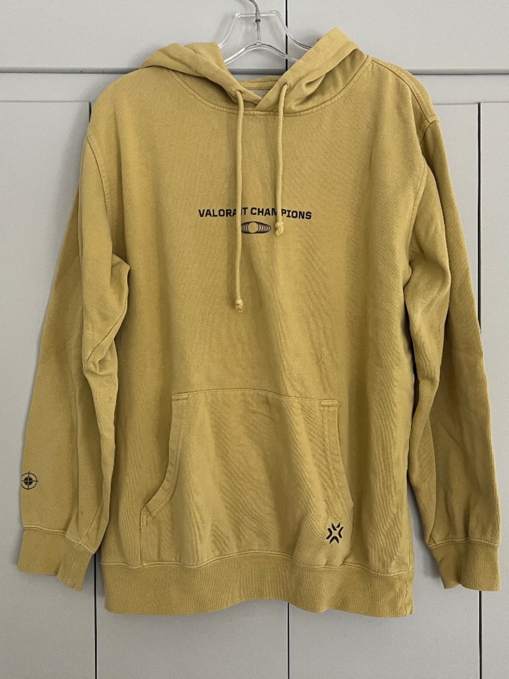 Valorant Champions 2023 Radiant Hoodie Riot Games Esports Graphic Sweatshirt